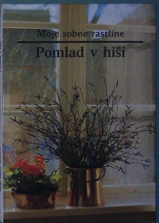 Moje sobne rastline / Pomlad v hiši
