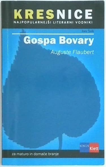 Gospa Bovary : priročnik za spoznavanje književnih del