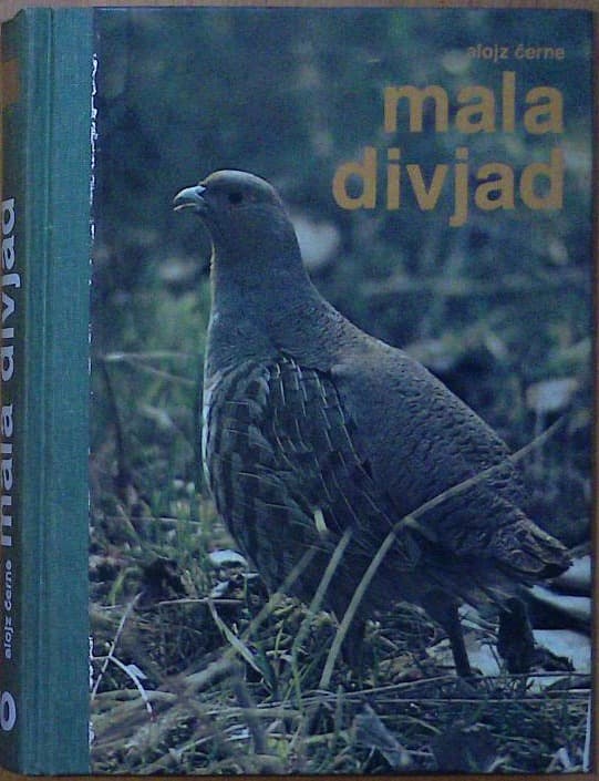 Mala divjad