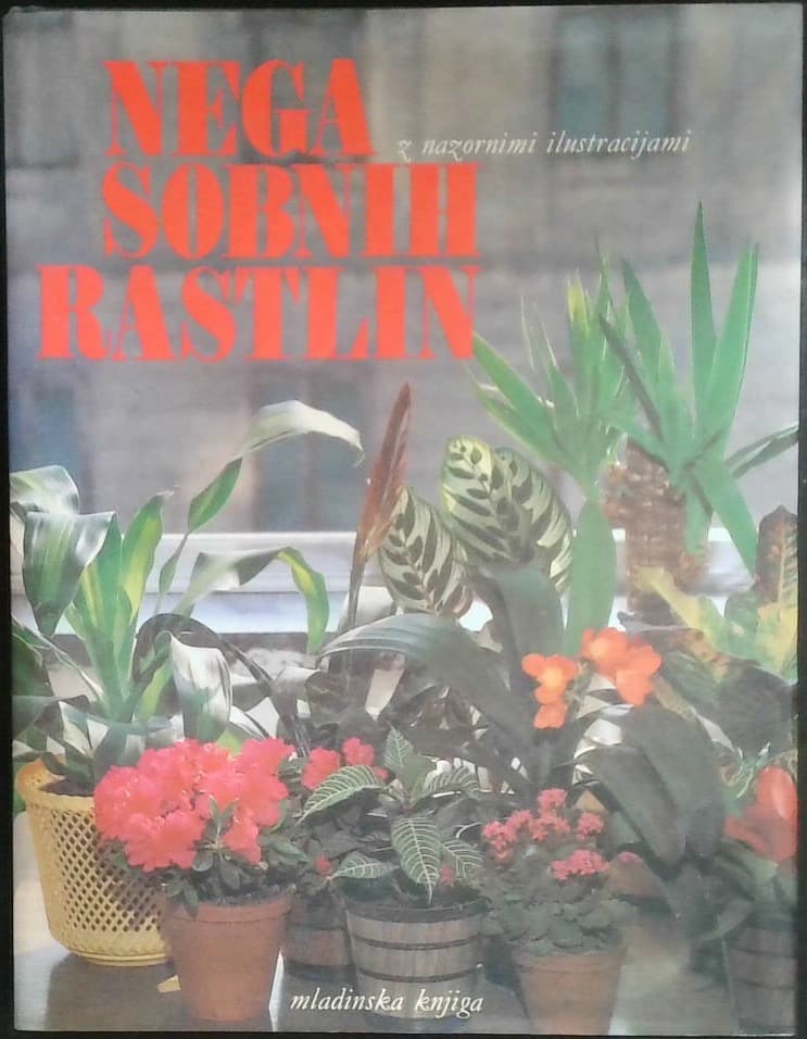 Nega sobnih rastlin