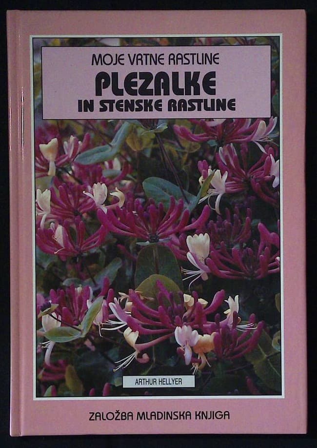 Plezalke in stenske rastline