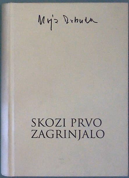 Skozi prvo zagrinjalo