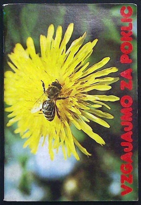Vzgajajmo za poklic