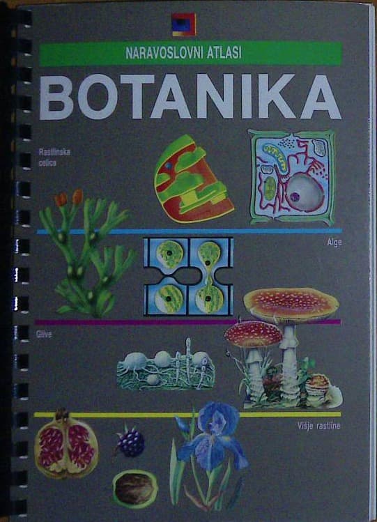 Botanika