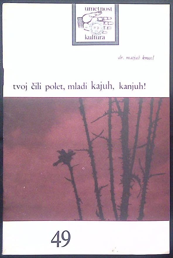 Tvoj čili polet, mladi kajuh, kanjuh!